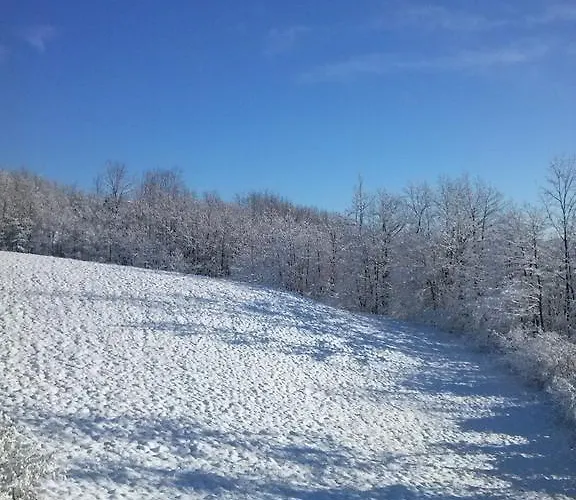 Πανσιόν Tolasudolsa Rooms, Breakfast & Mountain Bike 3*