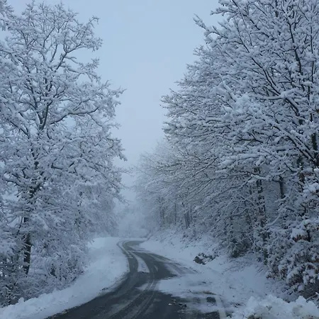 Gæstehus Tolasudolsa Rooms, Breakfast & Mountain Bike