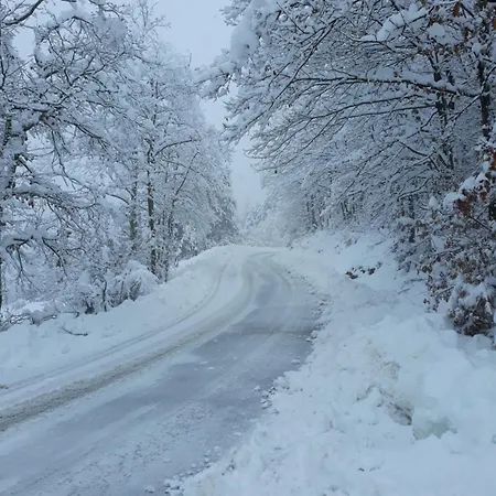 Tolasudolsa Rooms, Breakfast & Mountain Bike Gæstehus