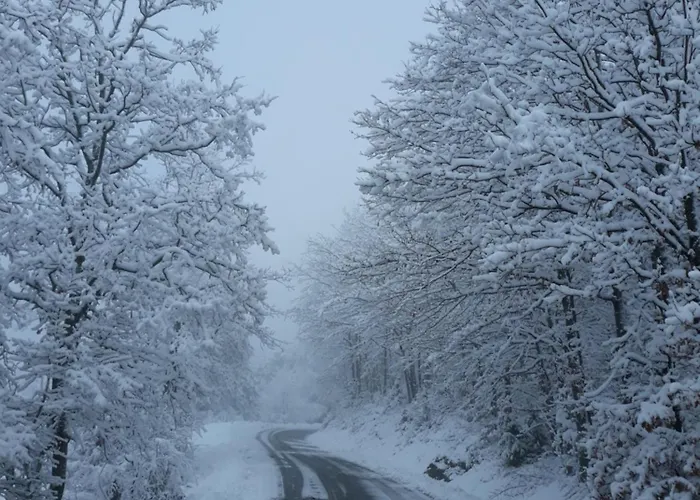 Pensionat Tolasudolsa Rooms, Breakfast & Mountain Bike