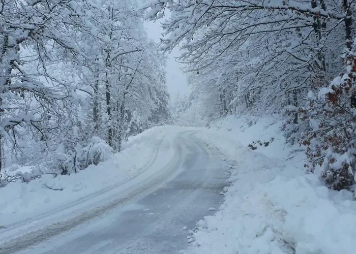 Tolasudolsa Rooms, Breakfast & Mountain Bike Pensionat