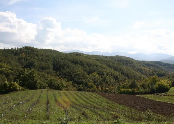 Pensionat Tolasudolsa Rooms, Breakfast & Mountain Bike Compiano